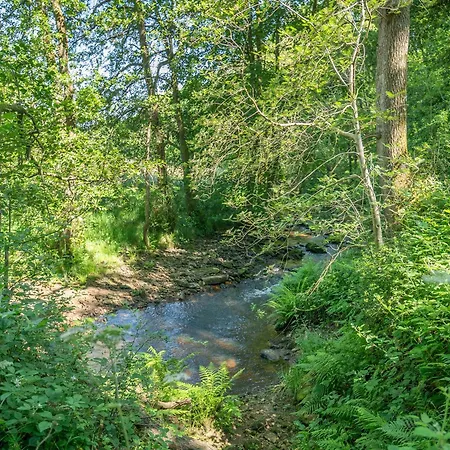 Scugdale